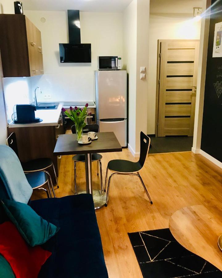 Apartamenty Teatralne ゴジュフ・ヴィエルコポルスキ エクステリア 写真