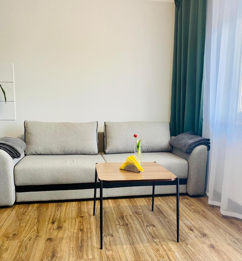 Apartamenty Teatralne ゴジュフ・ヴィエルコポルスキ エクステリア 写真