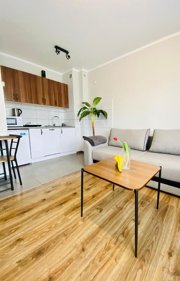 Apartamenty Teatralne ゴジュフ・ヴィエルコポルスキ エクステリア 写真